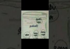 கடையில் முட்டை வாங்கினால் இப்படி செய்து பாருங்க | Egg test