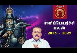 ஜோதிடர் செல்வி | மிதுனம் – கர்ம சனி 80% | சனிப்பெயர்ச்சி பலன்கள் 2025-27 | Sanipeyarchi palangal