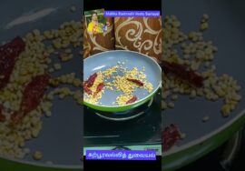 #shorts 377 karpooravalli Thuvayal Mexican mint / Omavalli Thuvayal – சளியைக் குறைக்கும்