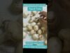 #Shorts 397- Tips & Tricks- Mushroom washing tips – Mallika Badrinath