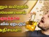 வெறும் வயிற்றில் 2 ஸ்பூன் நல்லெண்ணெய் குடிப்பதால் ஏற்படும் அதிசயங்கள்! | Sesame Oil Health Benefits